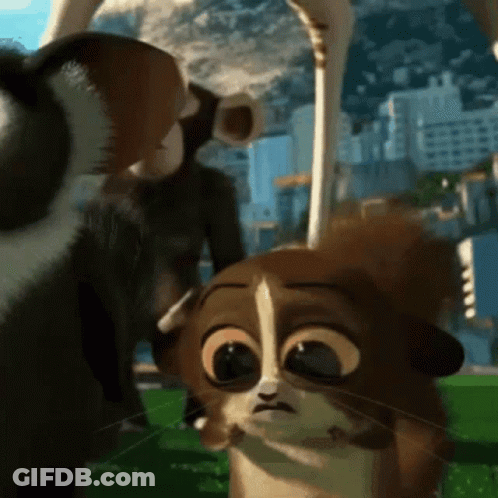 Cartoon Cat Looking At Another Cat GIF