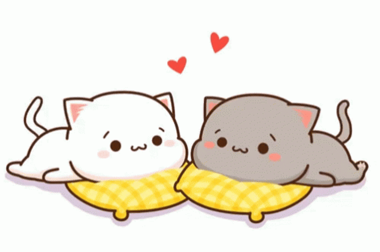 Cartoon Cat Lovers GIF