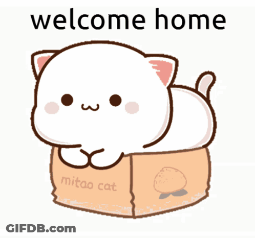 Cartoon Cat Lying In Box Welcome Home GIF