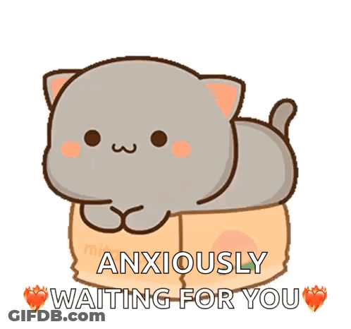 Cartoon Cat Lying On Cardboard Box Anxiously Waiting For You GIF