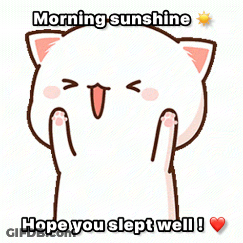 Cartoon Cat Morning Sunshine Hope You Slept Well GIF