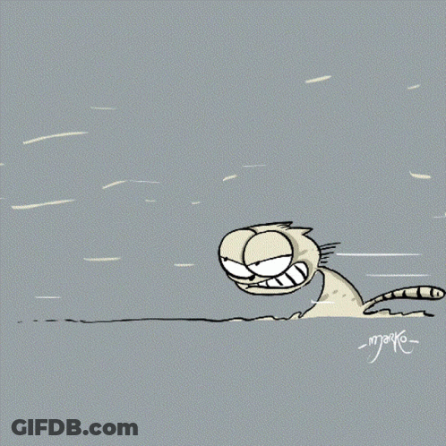 Cartoon Cat Named Maya GIF
