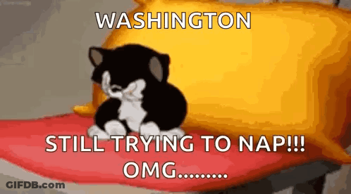 Cartoon Cat On Pillow Saying Washington Still Trying To Nap Omg GIF