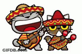 Cartoon Cat Playing Guitar With Maracas Cat GIF