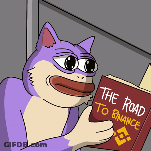 Cartoon Cat Reading The Road To Binance GIF