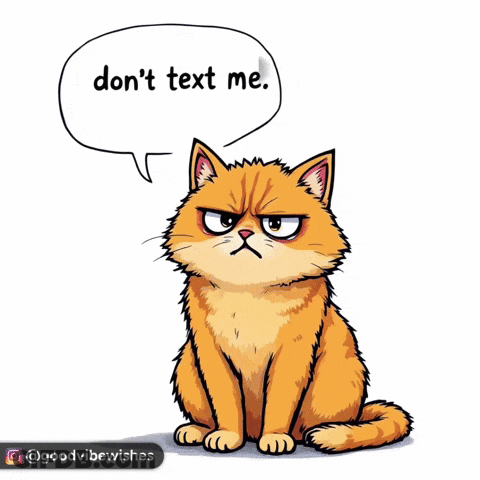 Cartoon Cat Saying Don't Text Me GIF
