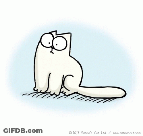 Cartoon Cat Saying Every Day Should Be International Cat Day GIF