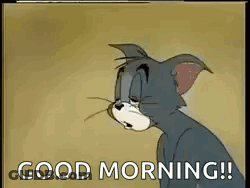 Cartoon Cat Saying Good Morning GIF