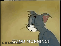 Cartoon Cat Saying Good Morning GIF