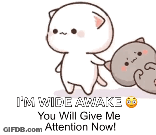 Cartoon Cat Saying I'm Wide Awake GIF