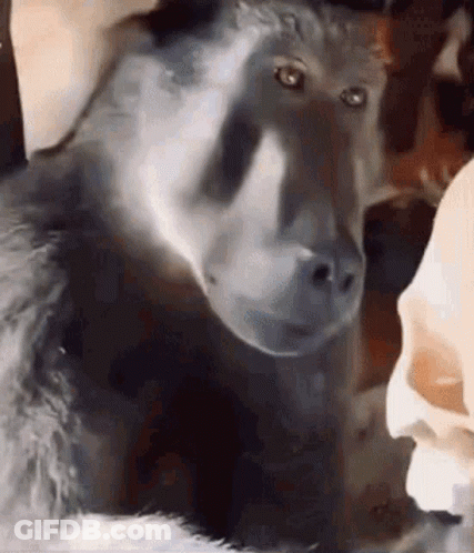 Cartoon Cat Saying I Sounded Sincere From Netflix GIF