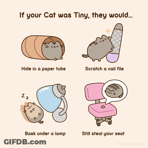 Cartoon Cat Saying If Tiny GIF