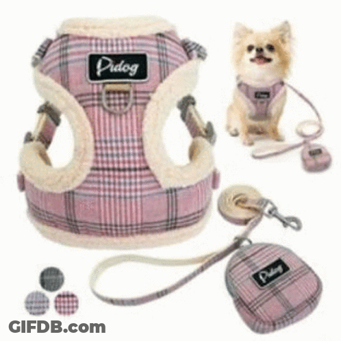 Cartoon Cat Saying Please Don't Leash Me GIF