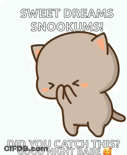 Cartoon Cat Saying Sweet Dreams Snookums GIF