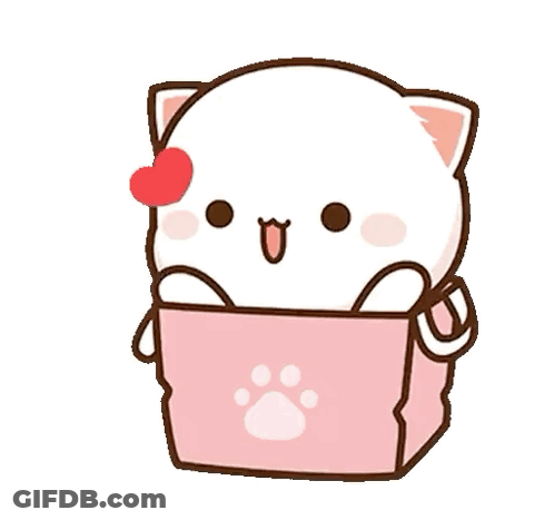 Cartoon Cat Sitting In Pink Box With Heart GIF