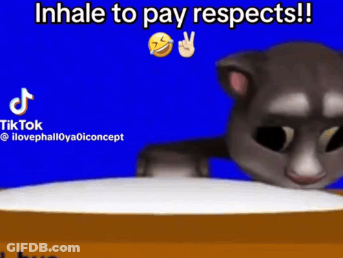 Cartoon Cat Sitting Inhale To Pay Respects GIF