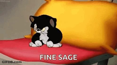 Cartoon Cat Sitting On Pillow Saying Fine Sage GIF