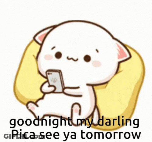 Cartoon Cat Sitting On Pillow Saying Goodnight GIF