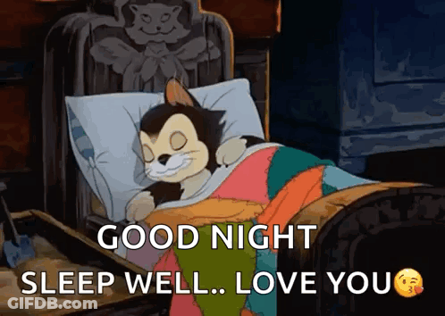 Cartoon Cat Sleeping Good Night Sleep Well Love You GIF
