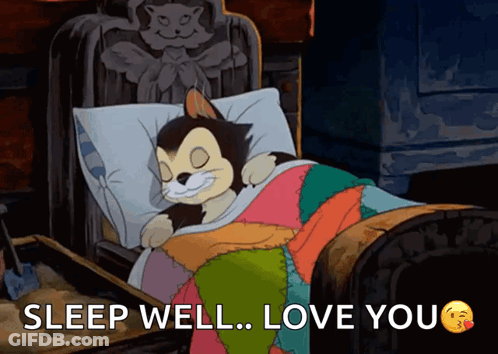 Cartoon Cat Sleeping In Bed Sleep Well Love You GIF
