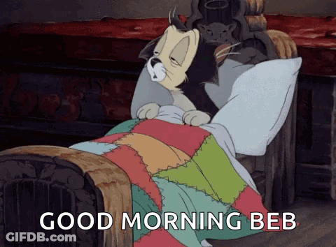 Cartoon Cat Sleeping With Good Morning Beb GIF