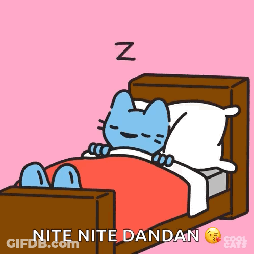 Cartoon Cat Sleeping With Nite Nite Dandan GIF