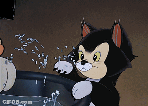 Cartoon Cat Standing In Bucket With Water GIF
