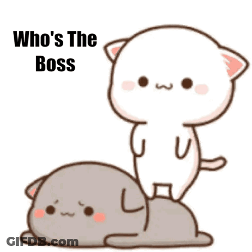 Cartoon Cat Standing On Another Cat Saying Who's The Boss GIF