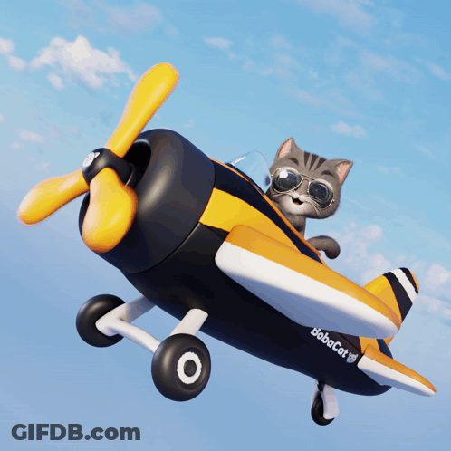 Cartoon Cat Sunglasses Flying Plane Babacat GIF