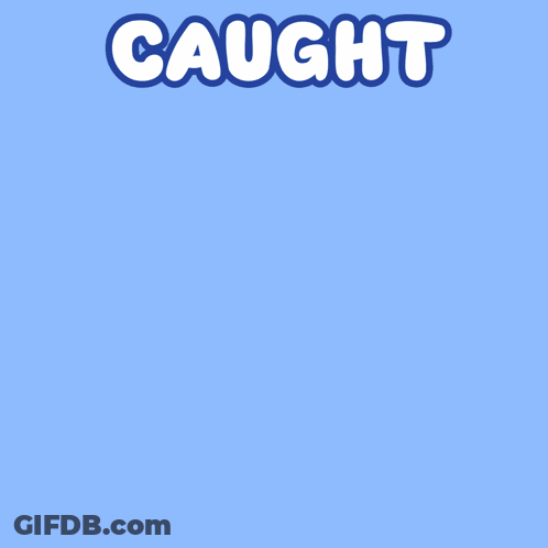 Cartoon Cat Taking Photo GIF