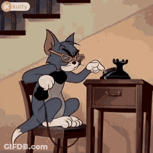 Cartoon Cat Talking On Phone In Sunglasses GIF