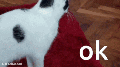 Cartoon Cat Thumbs Up Jacob Approves GIF