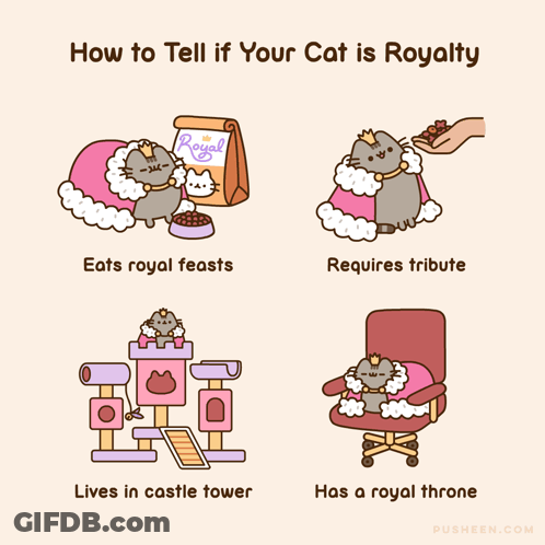 Cartoon Cat Wearing Crown GIF