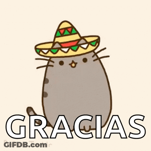 Cartoon Cat Wearing Sombrero Gracias GIF
