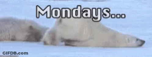 Cartoon Cat What It's Monday I Love You GIF