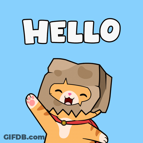 Cartoon Cat With Bag On Head Saying Hello GIF