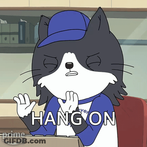 Cartoon Cat With Blue Hat Giving Hang On Sign GIF