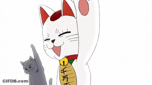 Cartoon Cat With Chinese Characters GIF