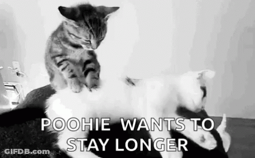 Cartoon Cat With Heart And I Love You GIF