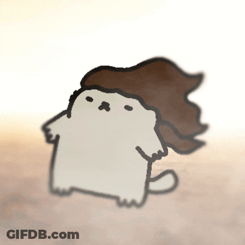 Cartoon Cat With Long Hair GIF