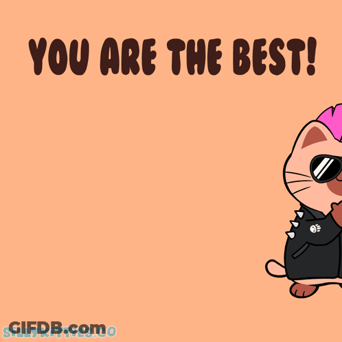 Cartoon Cat With Mohawk And Sunglasses Saying You Are The Best GIF