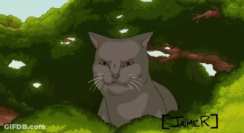 Cartoon Cat With Name Jaime GIF