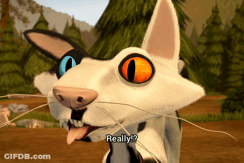 Cartoon Cat With Orange Eyes Saying Really GIF