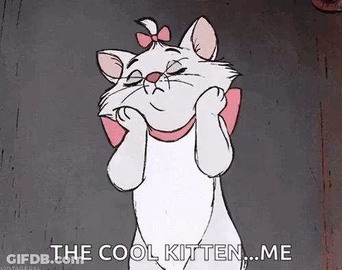 Cartoon Cat With Pink Bow Saying Cool Kitten ... Me GIF