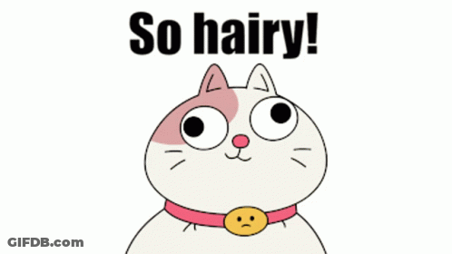 Cartoon Cat With So Hairy GIF