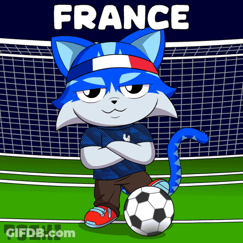 Cartoon Cat With Soccer Ball And France GIF