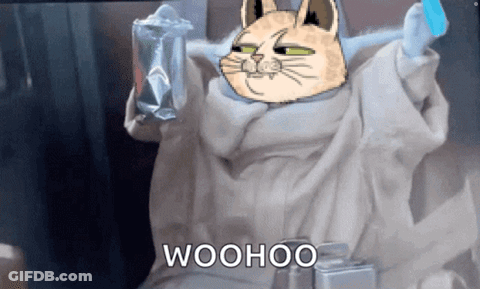 Cartoon Cat With Woohoo GIF