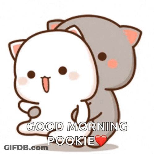 Cartoon Cats Hugging Good Morning Pookie GIF