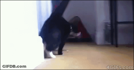 Cartoon Cats Hugging With Con Me GIF