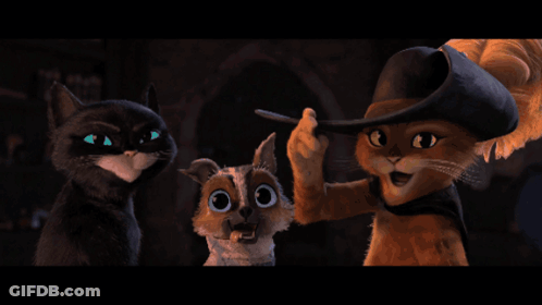 Cartoon Cats GIF